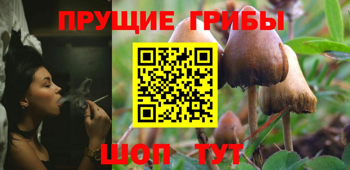 Ликино-Дулёво  Галлюциногенные грибы мухоморы  Псилоцибиновые грибы GOLDEN TEACHER  Вход с VPN 